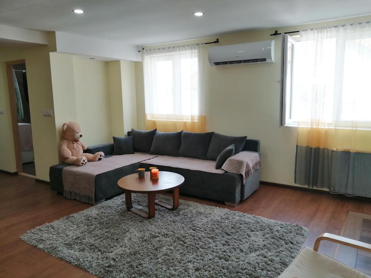 Nikas Apartman Donji Milanovac Eksteriør billede